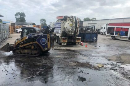 dead-fish-removal-altona